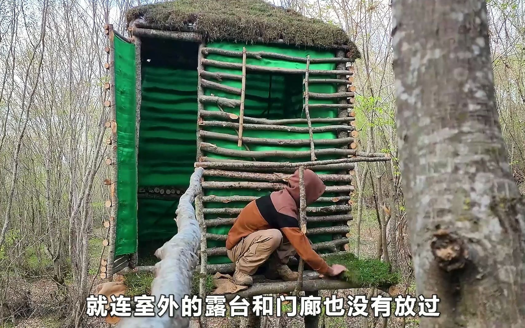 阿德离开峡谷,徒手搭建树上的庇护所,还通过塑料膜收集露水-一空荒野-一空荒野-哔哩哔哩视频