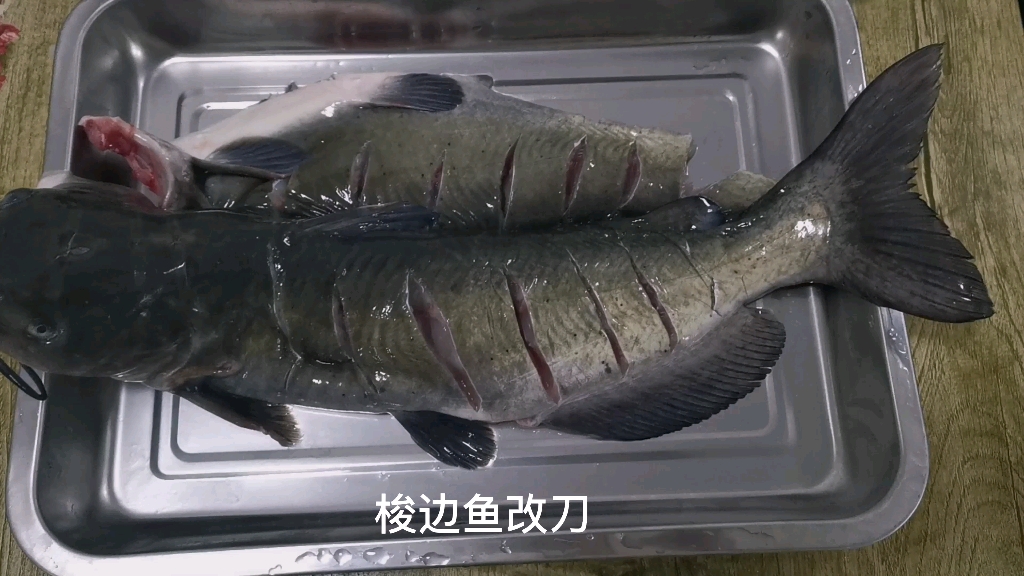 自制家庭版烤鱼 真香_哔哩哔哩 (゜-゜)つロ 干杯~-bilibili