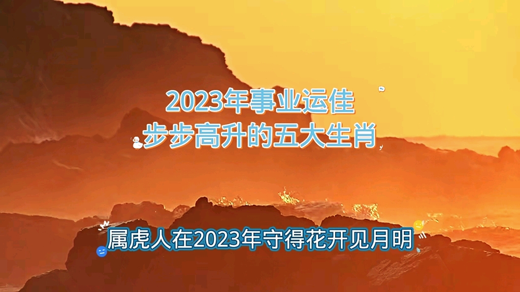 2023年事业运佳步步高升的五大生肖哔哩哔哩bilibili