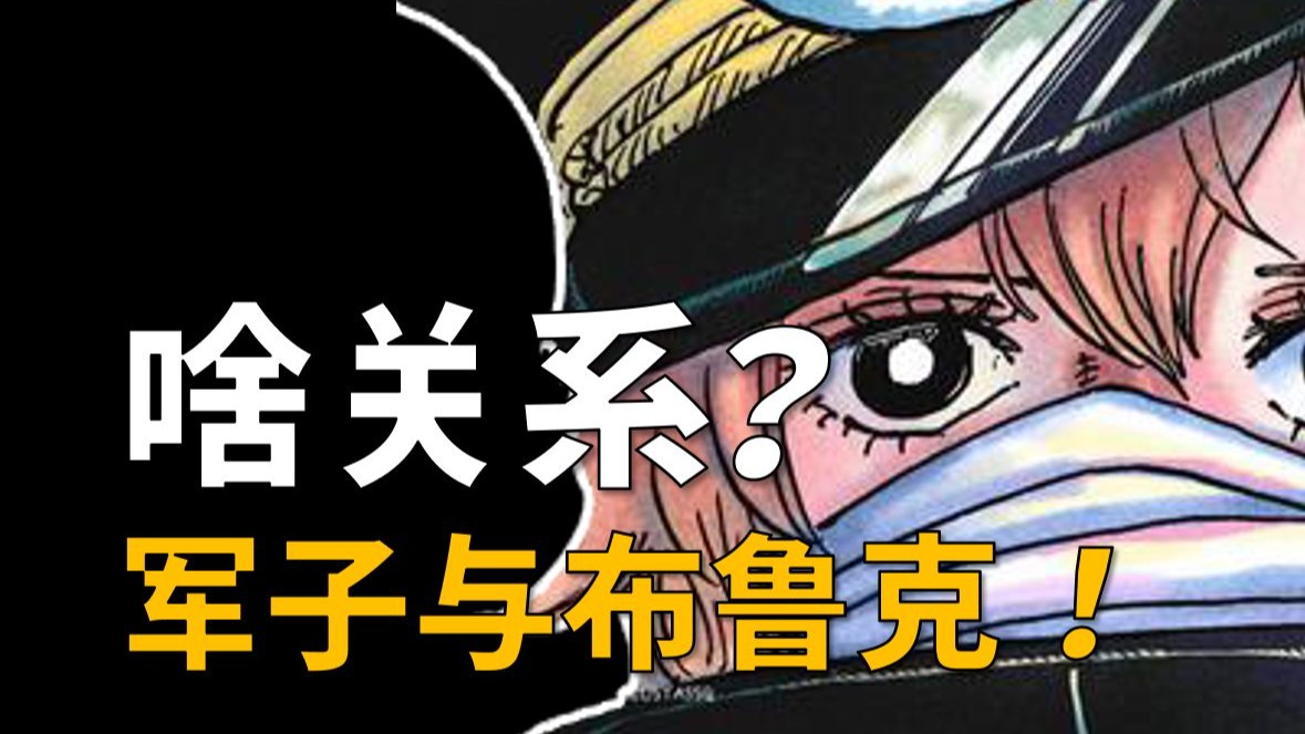 【阿旺】军子和布鲁克是啥关系？海贼王1149话分析！-湿人阿旺-湿人阿旺-哔哩哔哩视频