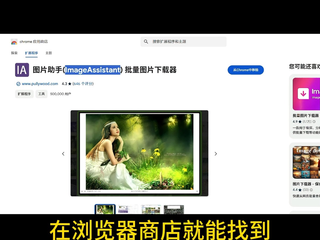 如何一键下载网页所有图片???哔哩哔哩bilibili