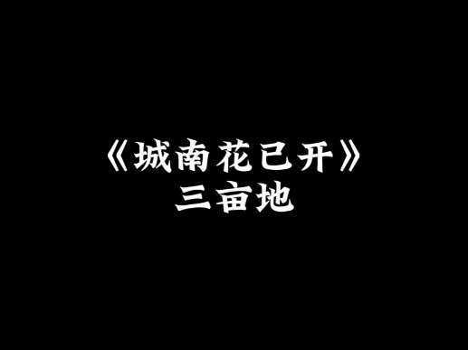 《城南花已开》哔哩哔哩bilibili