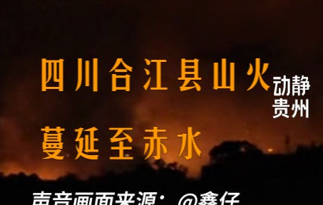 四川合江县山火蔓延至赤水,经全力扑救火势得到控制哔哩哔哩bilibili