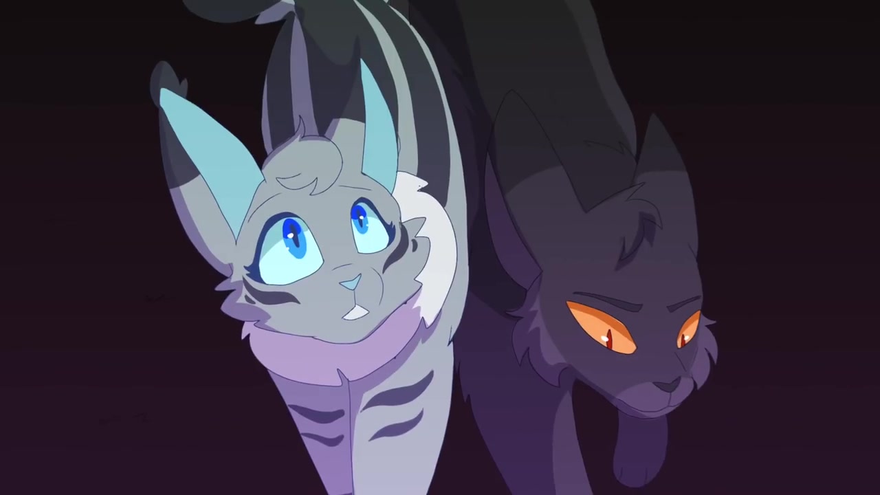 【猫武士】羽尾-wherever you are