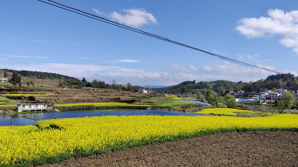 这个季节的宋家寨村,随手都是风景