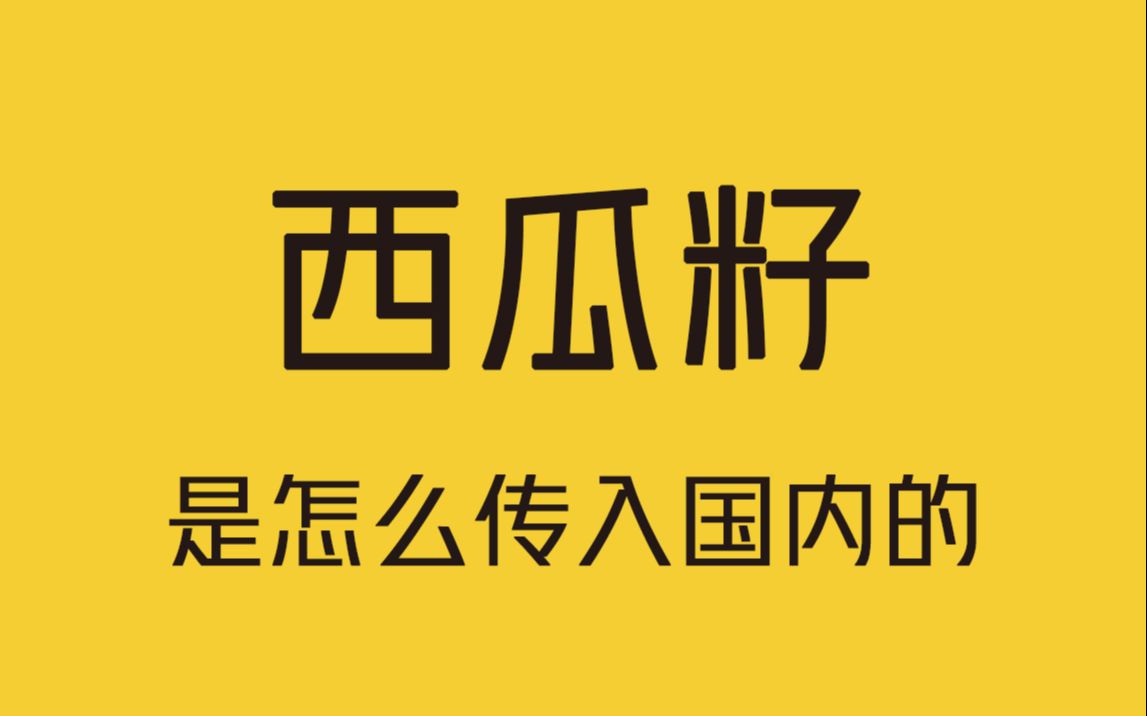 我们经常吃的西瓜籽是哪里来的?哔哩哔哩bilibili