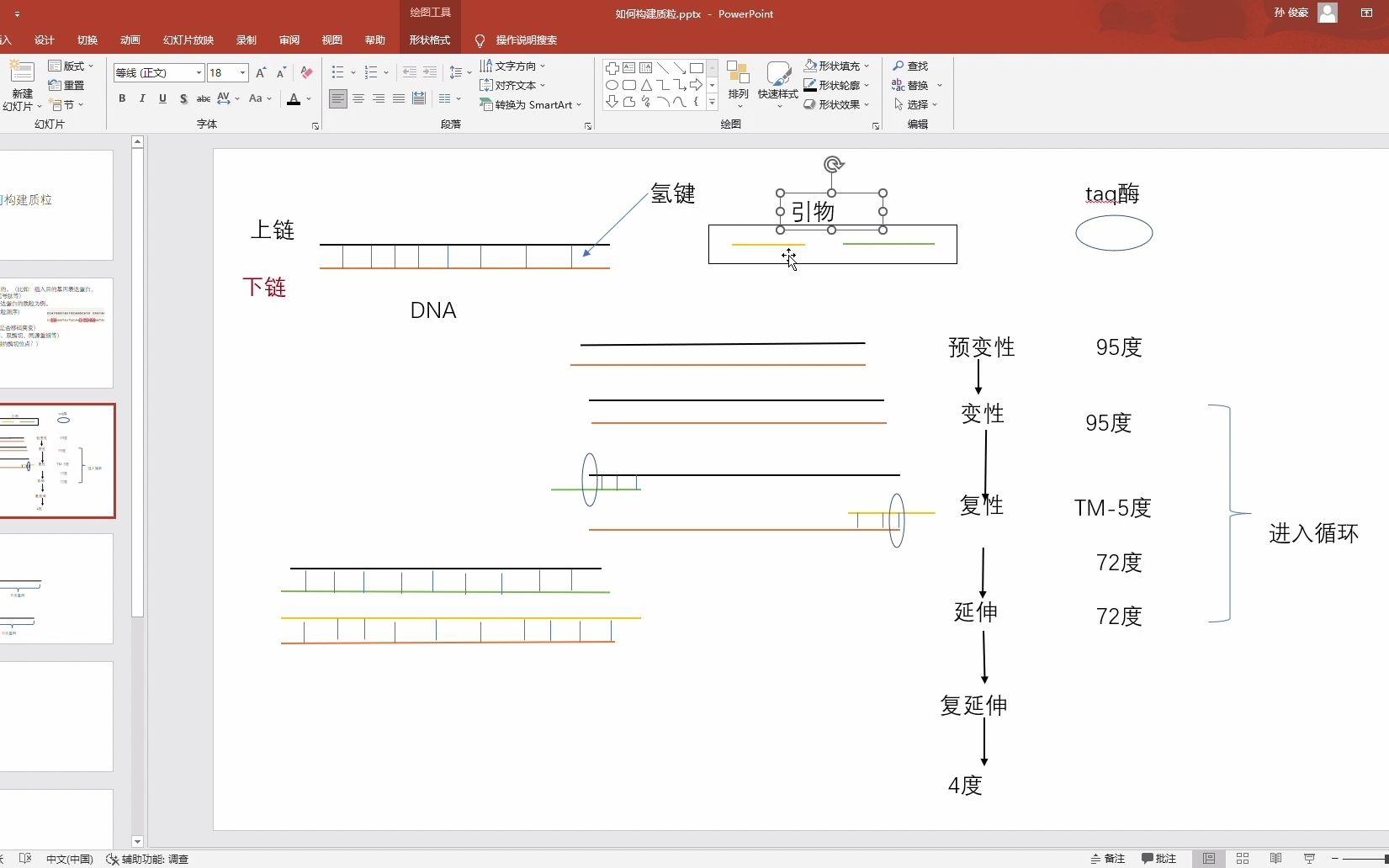 如何构建质粒哔哩哔哩bilibili