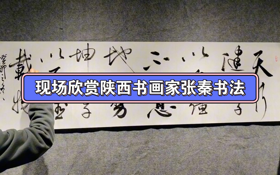 现场欣赏陕西书画家张秦老师书法创作