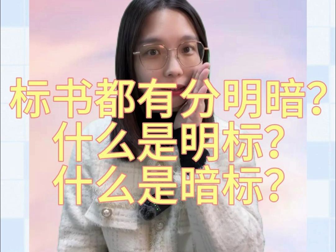 标书都有分明暗?什么是明标什么是暗标?哔哩哔哩bilibili