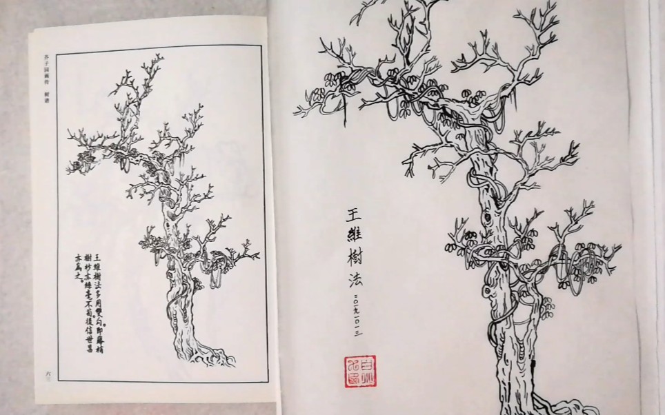 [图]国画练习：《芥子园画传》树谱，王维树法