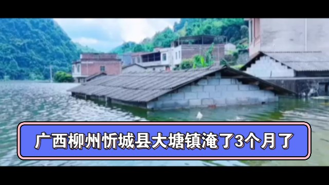广西柳州忻城县大塘镇六安村二组,淹了3个月了