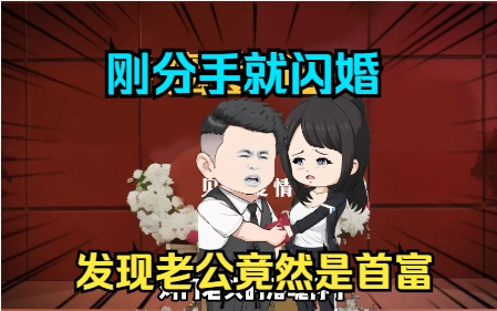 [图]刚分手就闪婚，发现老公竟是首富