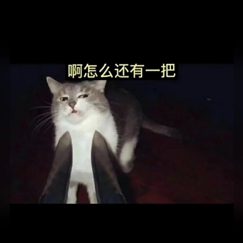 [图]猫：九条命不太够呀，阎王能贷款不？