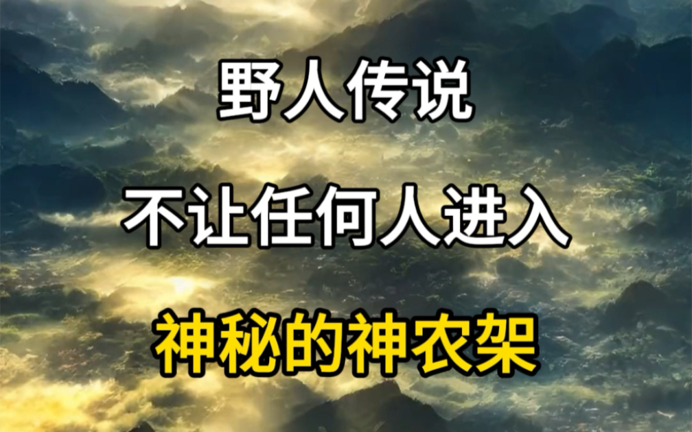 神龙架深处为什么不让进入?里面到底有什么?神龙架野人传说.#旅行大玩家 #旅行推荐官 #旅游攻略哔哩哔哩bilibili