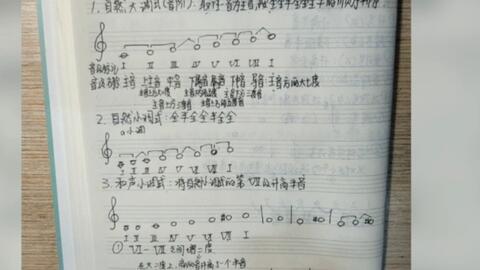 3 13音级名称 哔哩哔哩 Bilibili