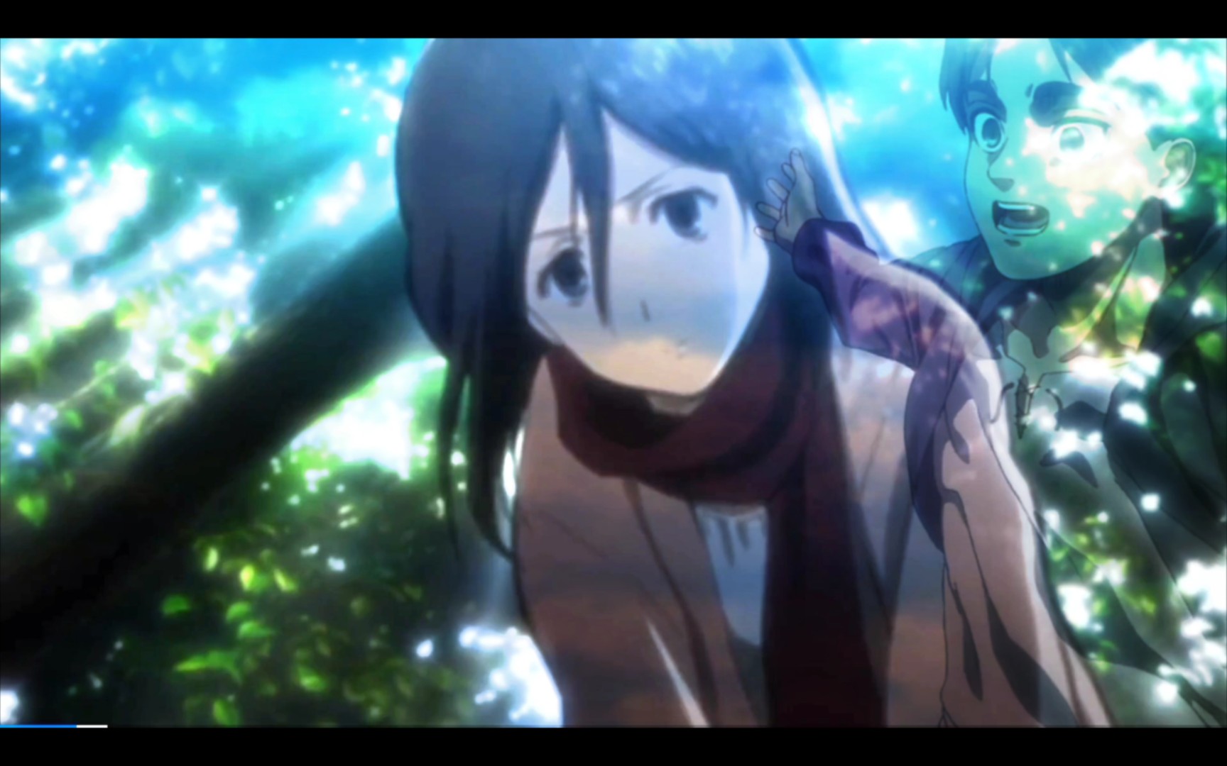 mikasa 在你眼中我是谁?