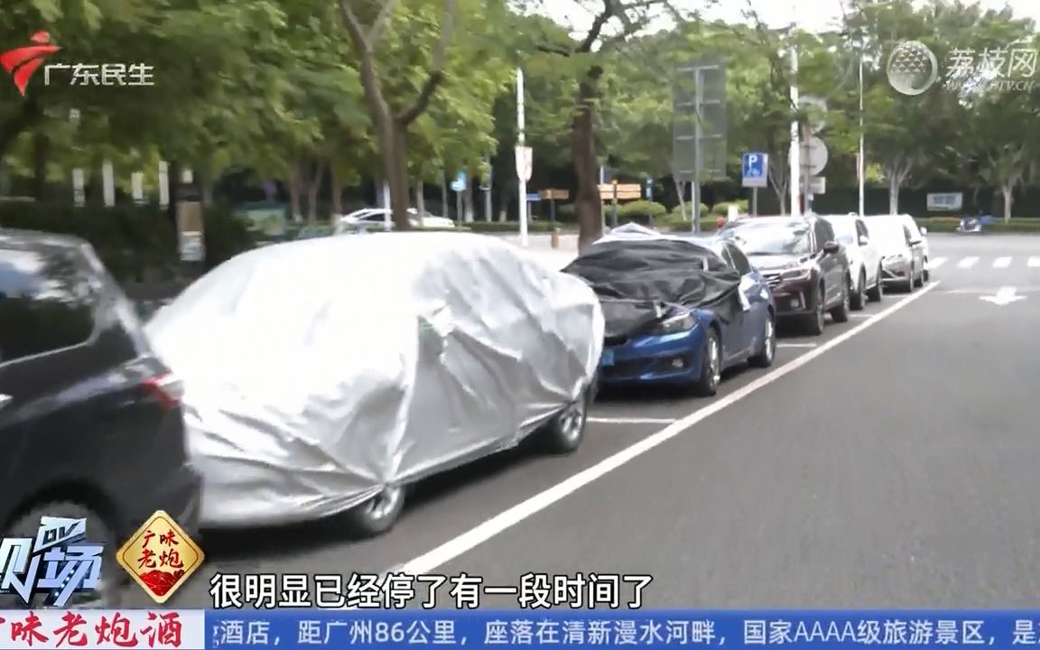 【粤语新闻】广州番禺:临街车位停放大量“僵尸车” 车主没位停哔哩哔哩bilibili