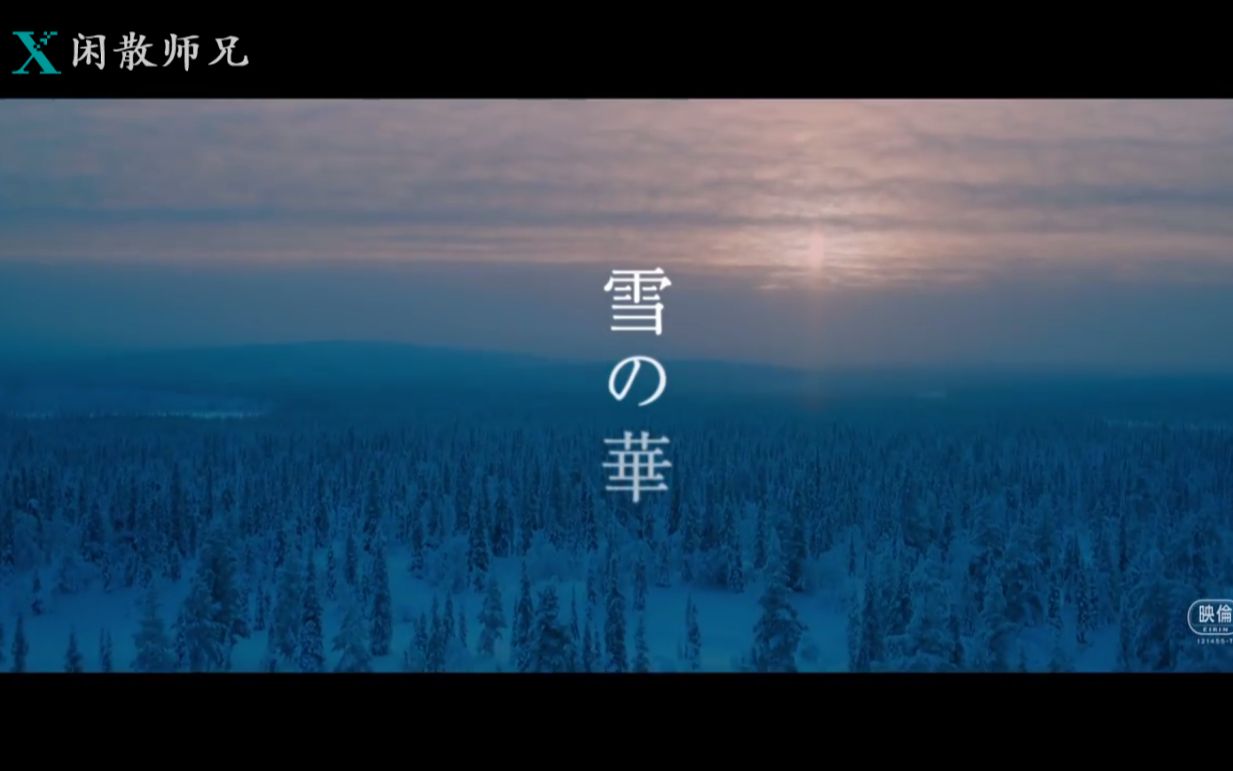 【日本电影】雪之华 特报 2019年2月1日上映【日语中字】哔哩哔哩bilibili