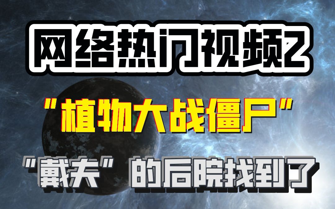 网络热门视频 第二集:从亚洲到北美再到瑞士农村,一路都是风景哔哩哔哩bilibili