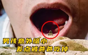 Télécharger la video: 男孩被意外缩小一万倍，差点被蜜蜂吃掉！