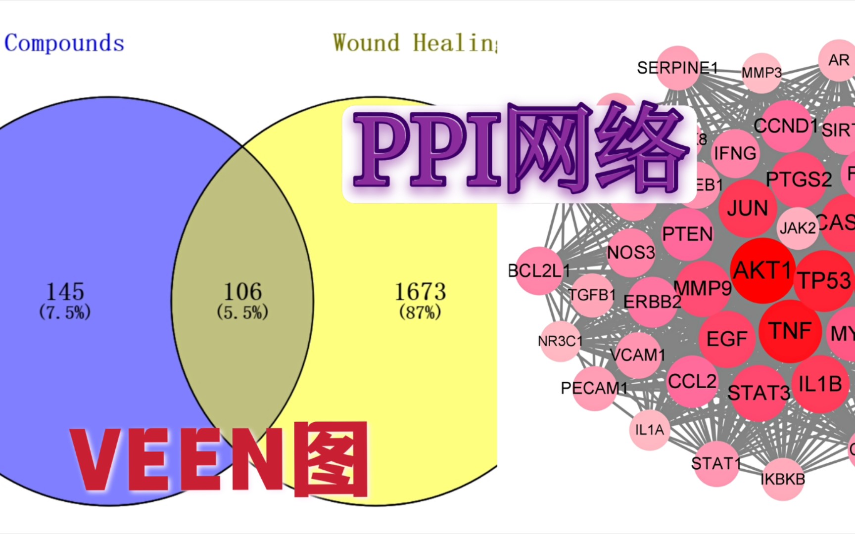 VEEN图及PPI网络的绘制(筛选关键靶点)哔哩哔哩bilibili