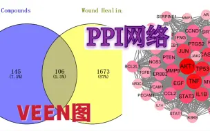 Download Video: VEEN图及PPI网络的绘制（筛选关键靶点）