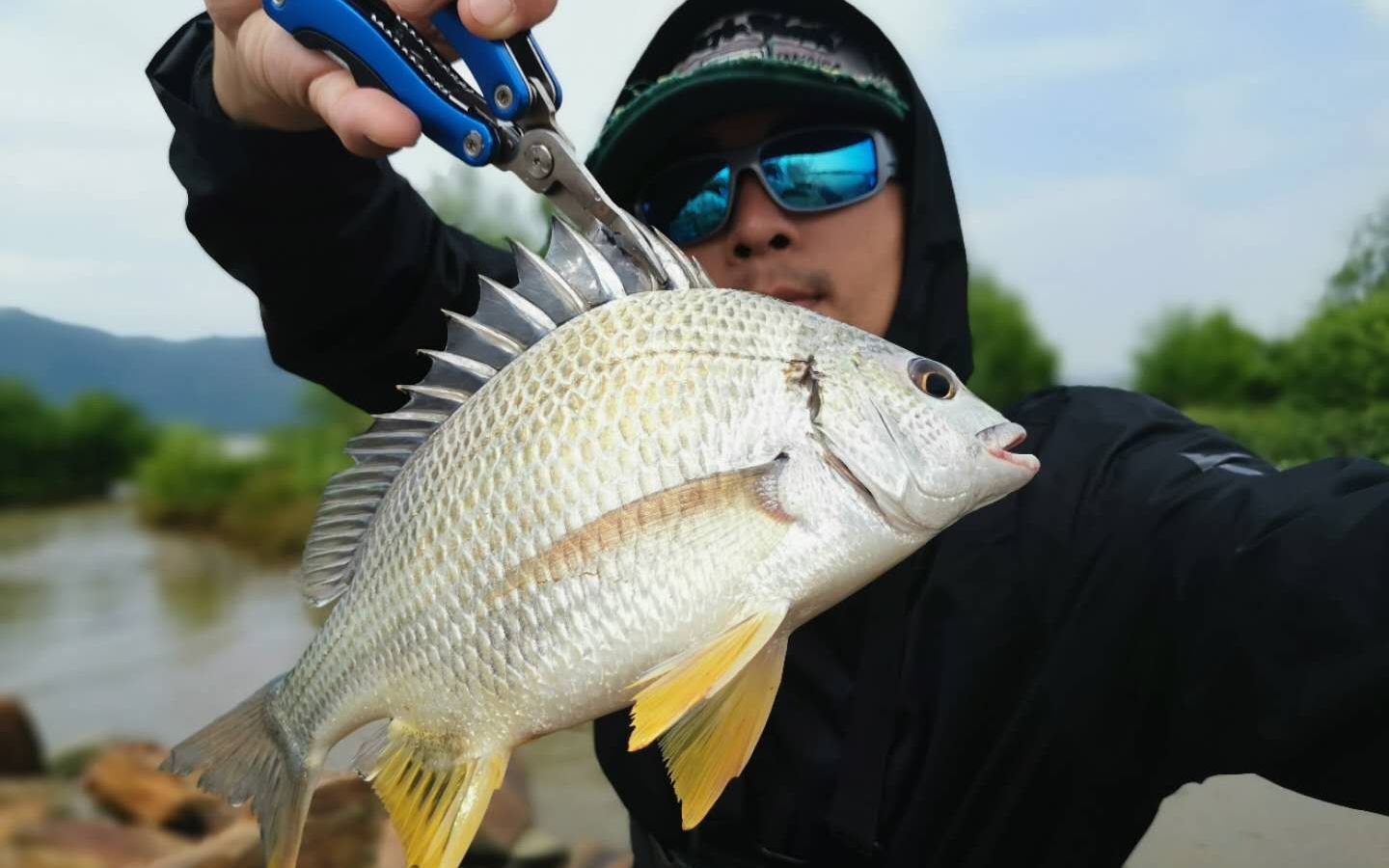 活动作品珠海高栏港自驾露营收获超大黄脚腊