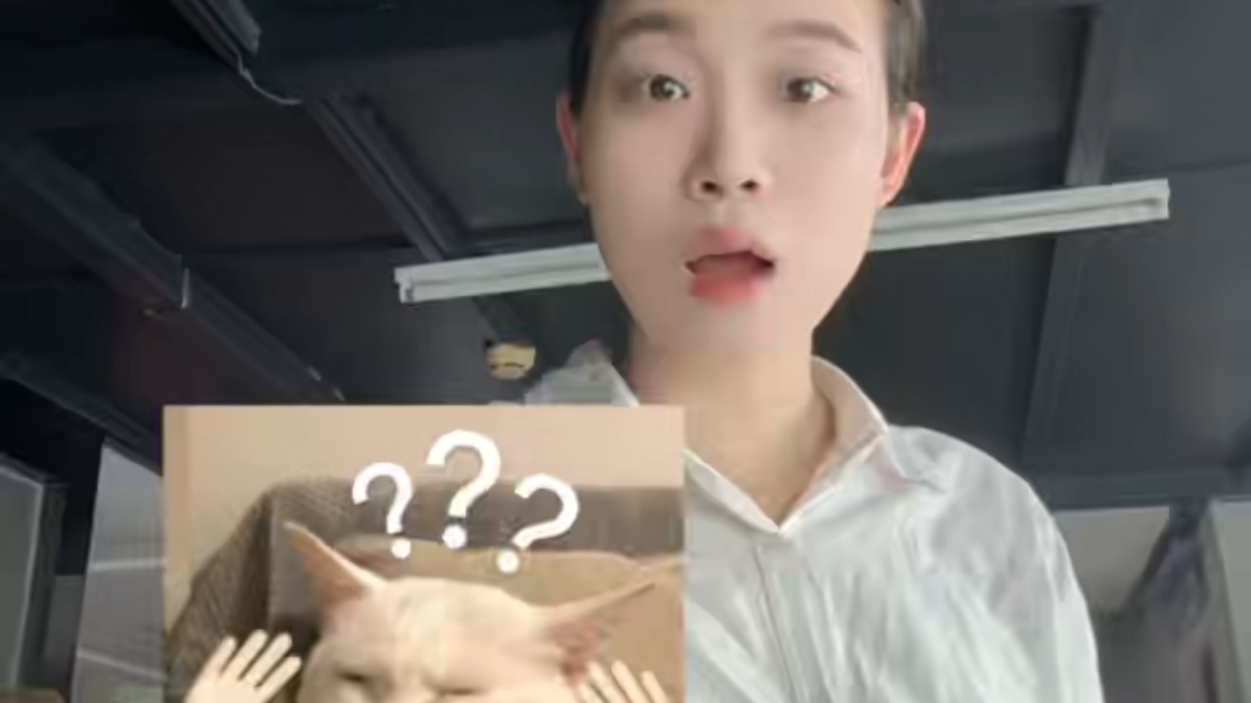 武汉鑫超越专注服务器,网络,存储,安全,云计算,各位同行老板有需求来聊
