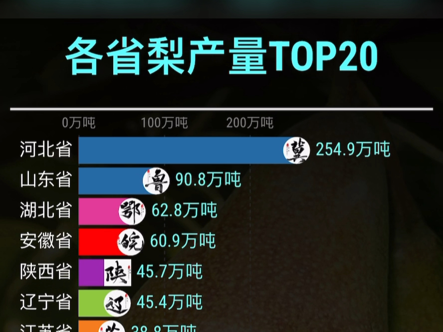 各省梨产量Top20,河北鸭梨,极其雄壮!哔哩哔哩bilibili