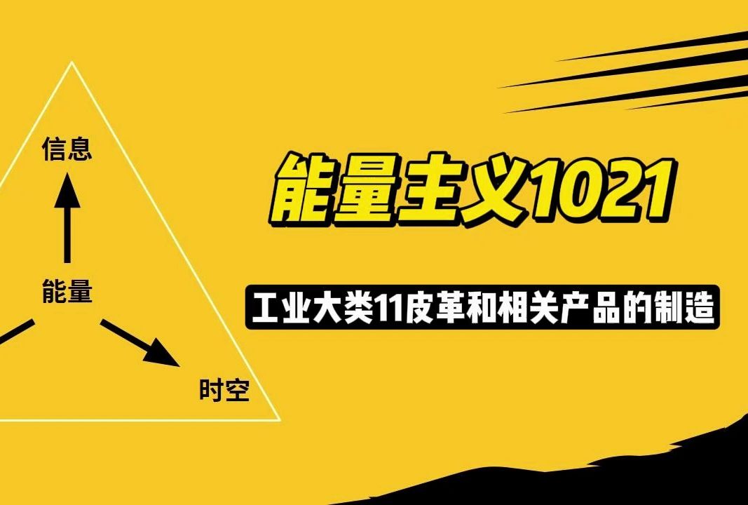 能量主义1021:工业大类11皮革和相关产品的制造哔哩哔哩bilibili