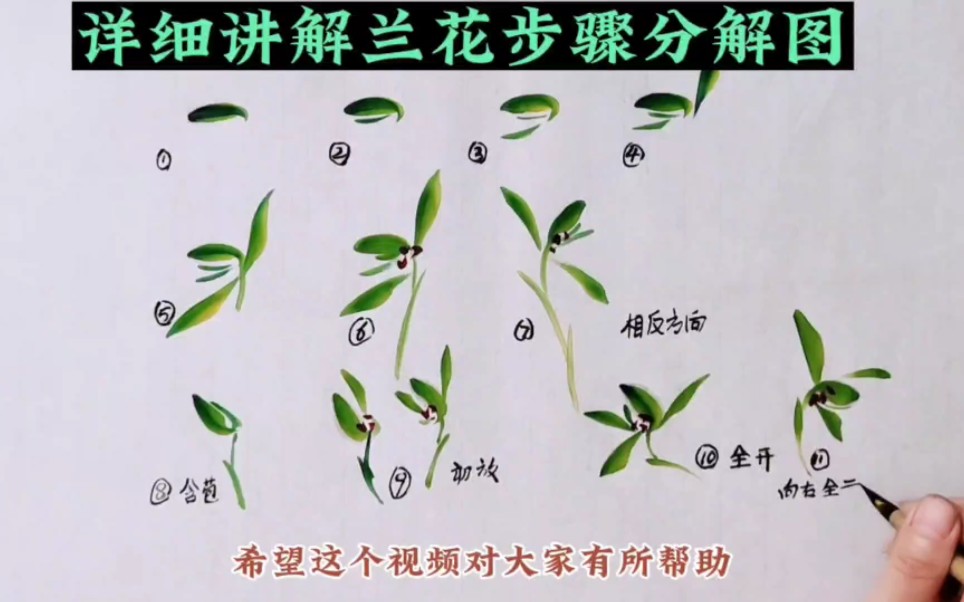 水墨兰花步骤分解示范,手把手教会你,想学吗?哔哩哔哩bilibili