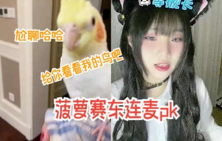 《主播,你是做什么工作的啊?》哔哩哔哩bilibili