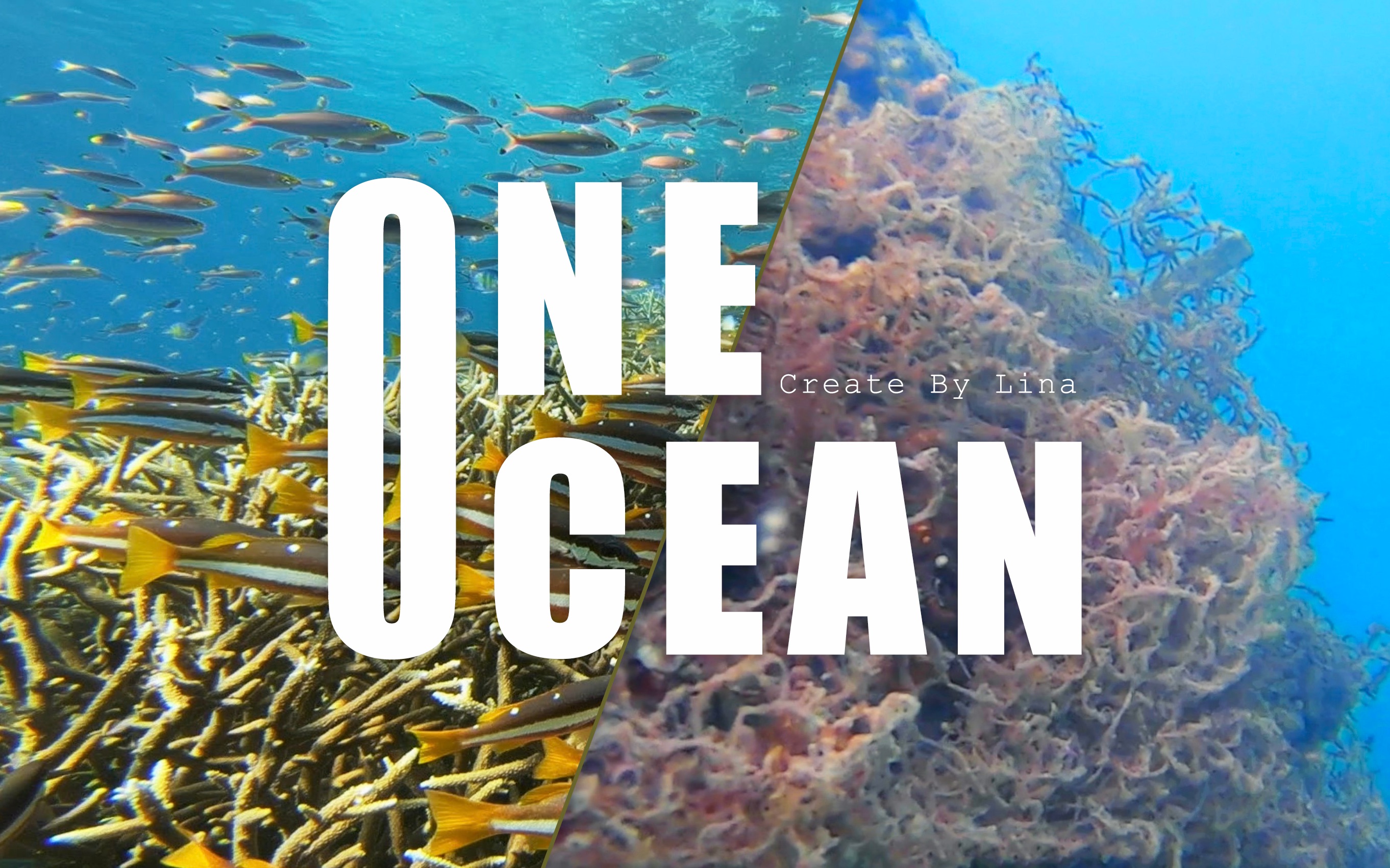 [图]环保短片《One Ocean》海洋公益环保塑料垃圾正能量潜水打击海洋垃圾