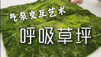 【售后反馈】气泵交互艺术——呼吸草坪