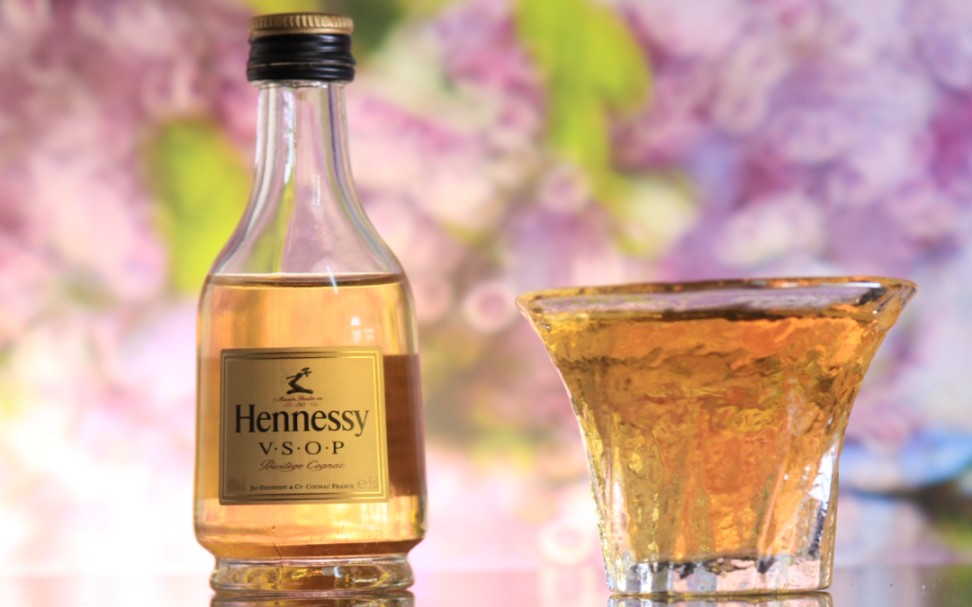 美酒夜光杯_哔哩哔哩_bilibili