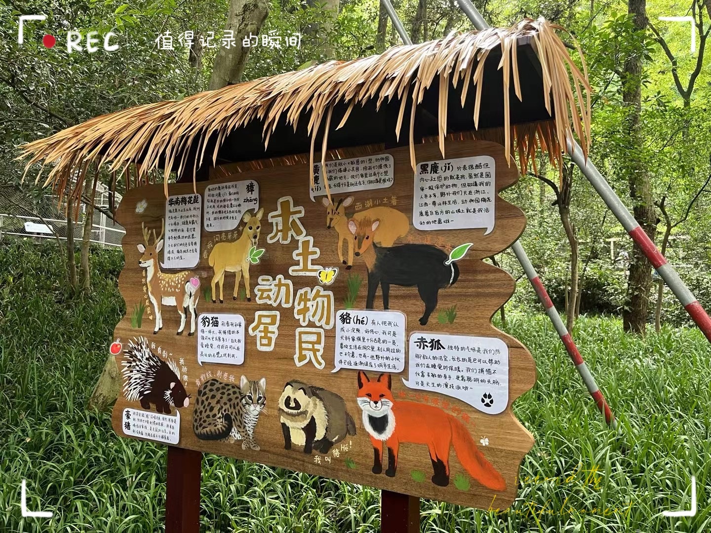 【千户达人】最新视频上线,求关注!