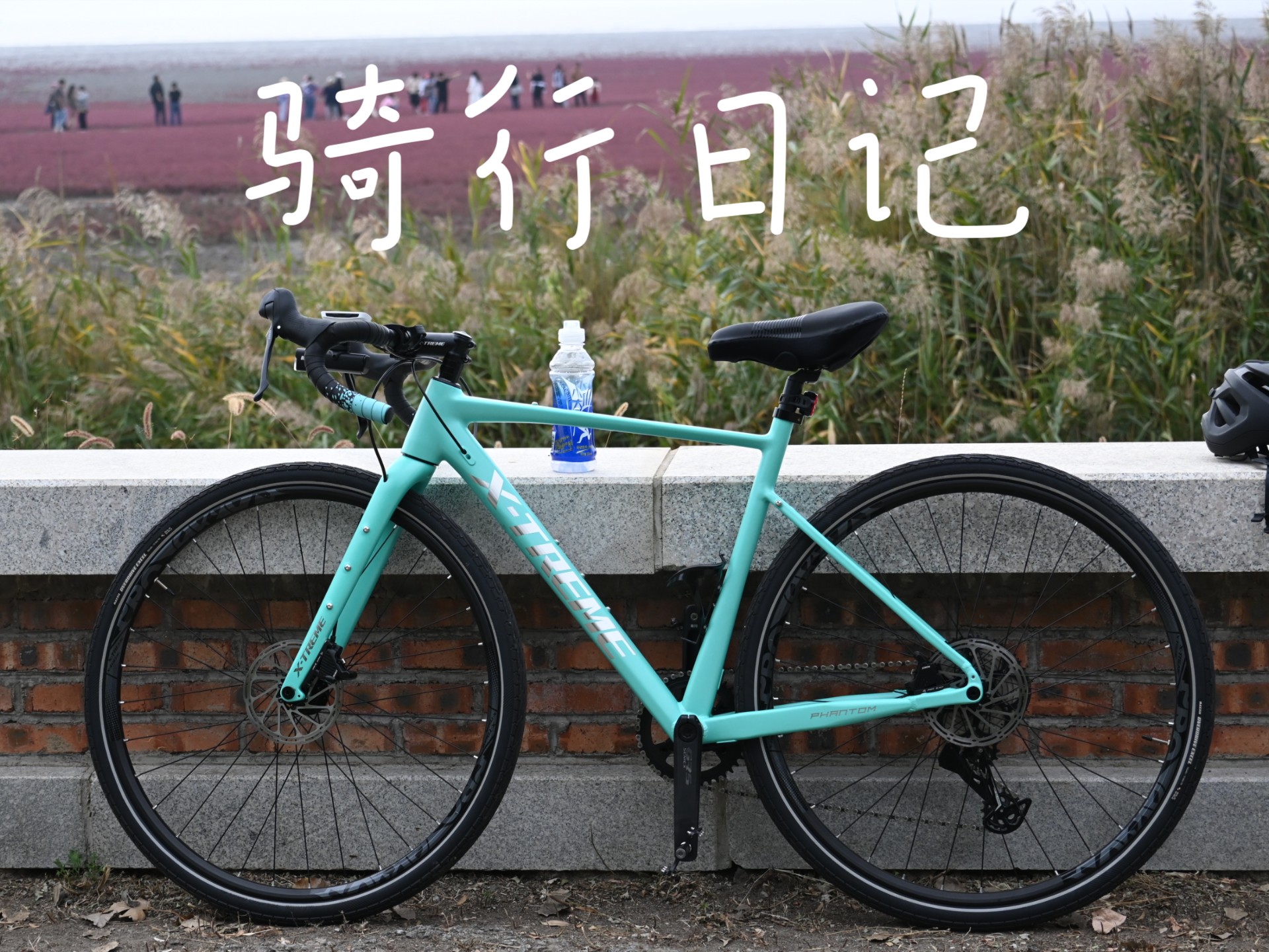 美臂自行车（美什么自行车品牌）《美 自行车》