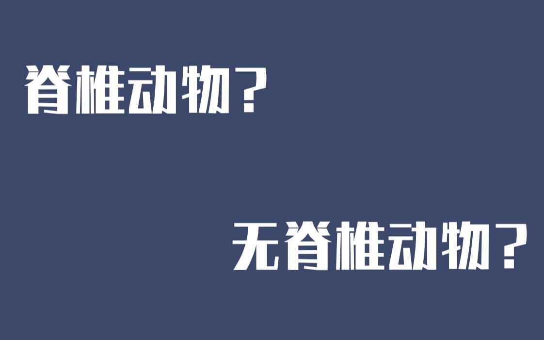 【假期作业水视频】脊椎动物与无脊椎动物你真的分得清吗?哔哩哔哩bilibili