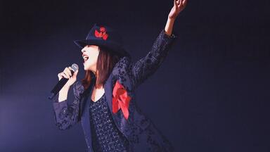 中森明菜】20th Anniversary Live -It's brand new day-20周年纪念巡回