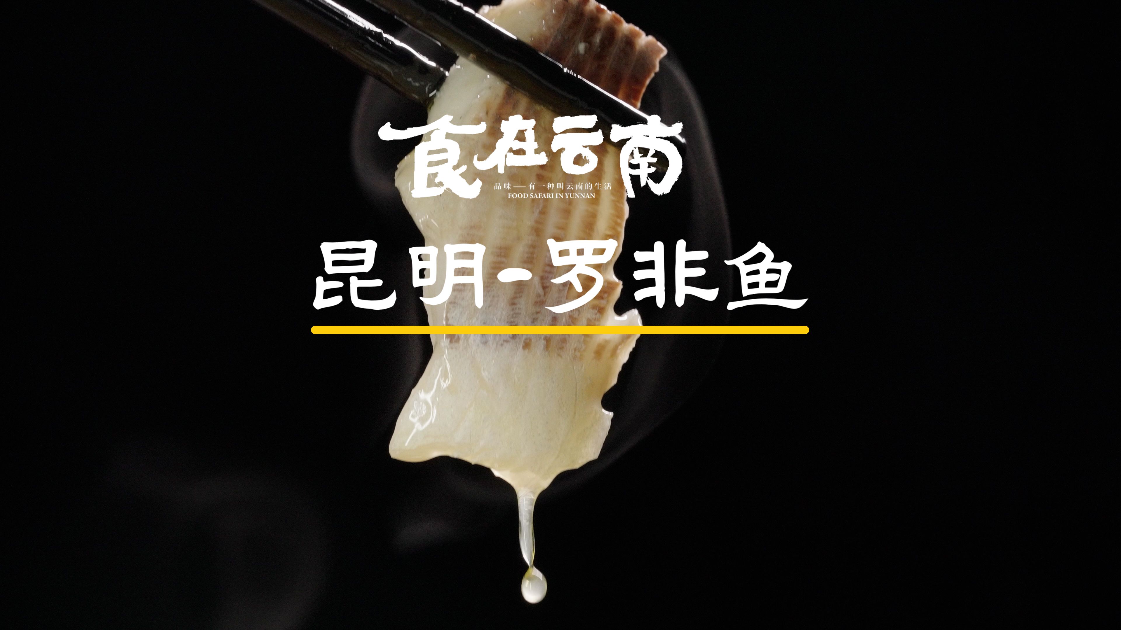 《食在云南》Ⅱ第二集:昆明罗非鱼哔哩哔哩bilibili