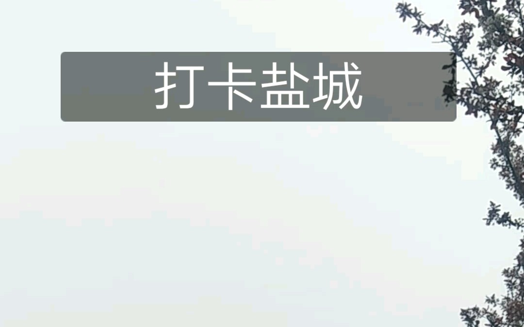 盐城火车站,盐城南阳机场,盐城亭湖区哔哩哔哩bilibili