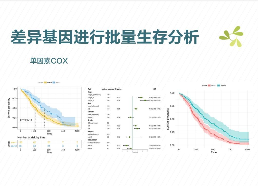 生存分析怎么做?10分钟学会利用差异基因找出疾病预后相关基因哔哩哔哩bilibili