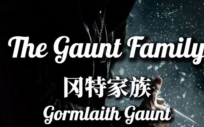 哈利波特 斯莱特林冈特家族:葛姆蕾·冈特_哔哩哔哩_bilibili