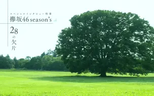 Download Video: 【联合字幕】200704 欅坂46 season's 28个碎片