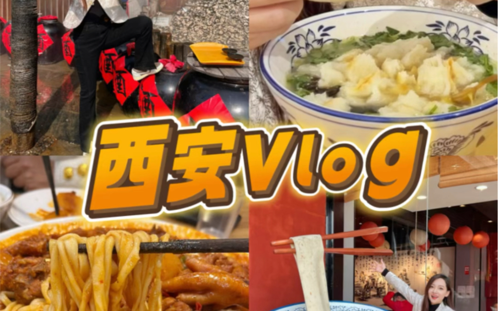 西安Vlog𐟍œ临潼一日|逛丽山园&吃大盘鸡𐟤䥓”哩哔哩bilibili