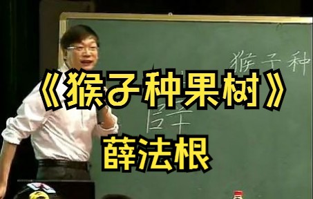 名师课堂:薛法根讲座《猴子种果树》公开课 语文观摩课哔哩哔哩bilibili