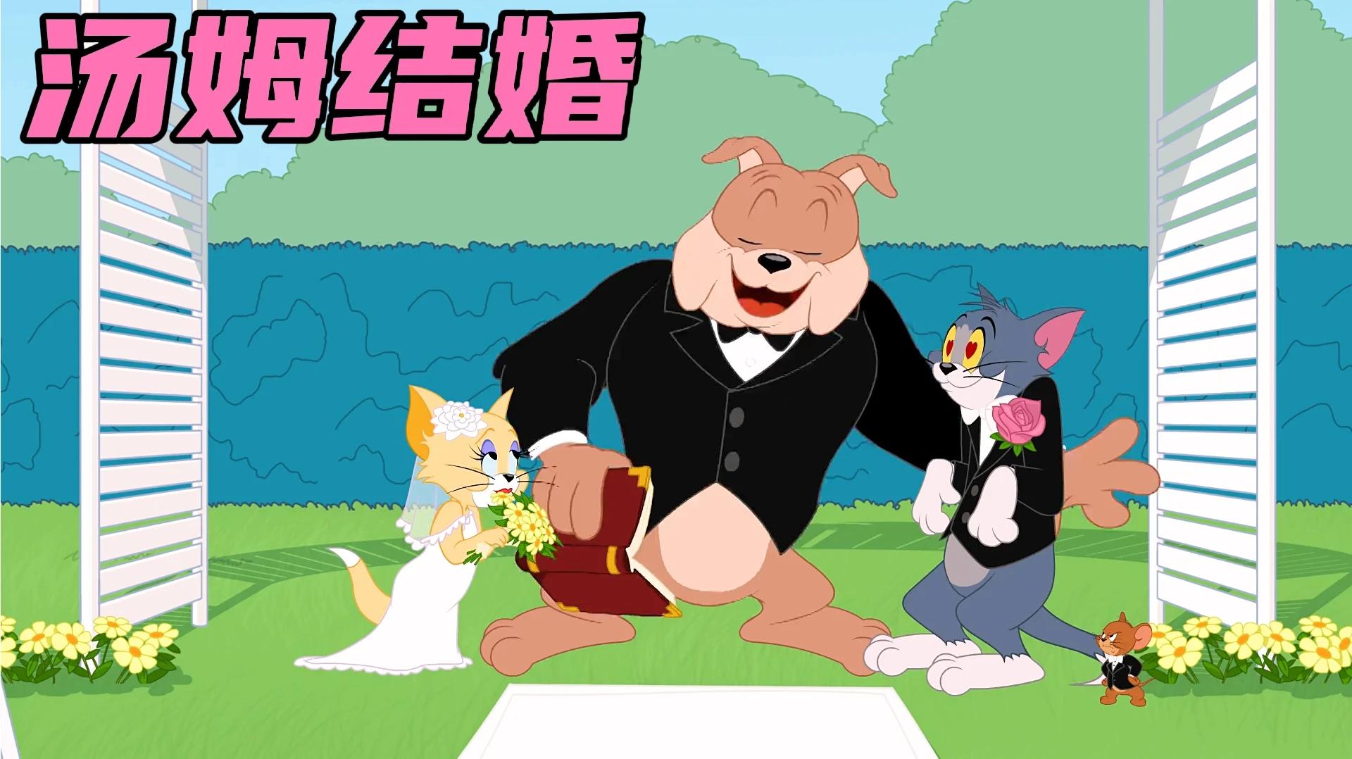 猫和老鼠:汤姆终于结婚了,生下一窝小猫,而杰瑞却成为了保姆!