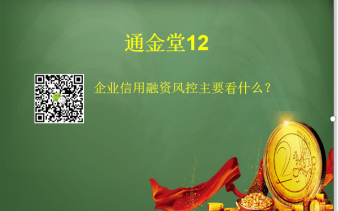 通金堂12企业信用融资风控主要看什么?资金流动性是关键.哔哩哔哩bilibili