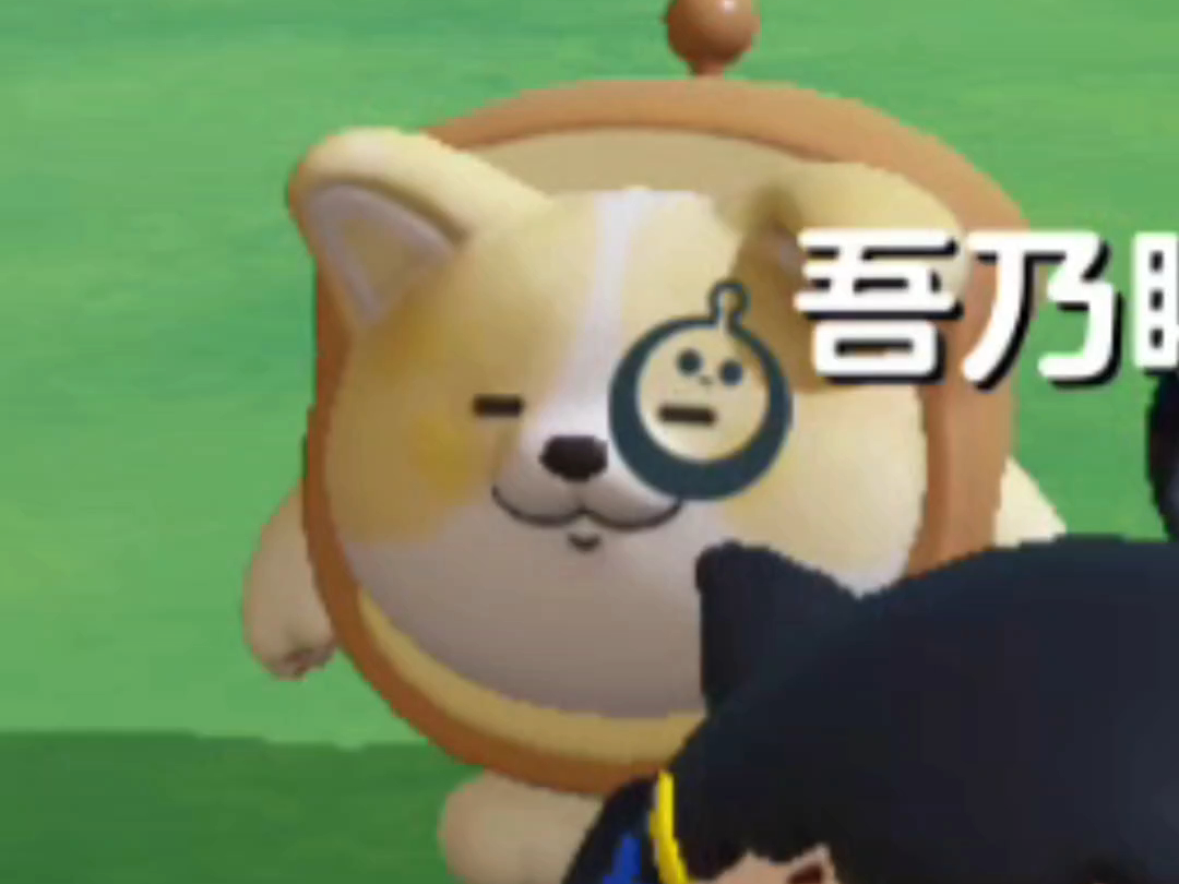 原来面包狗的眼睛也可以唱歌