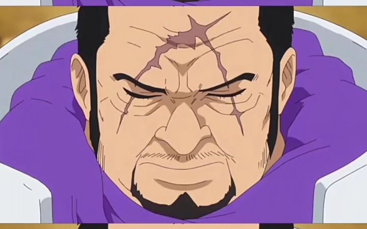 大将藤虎,海军的正义#海贼王